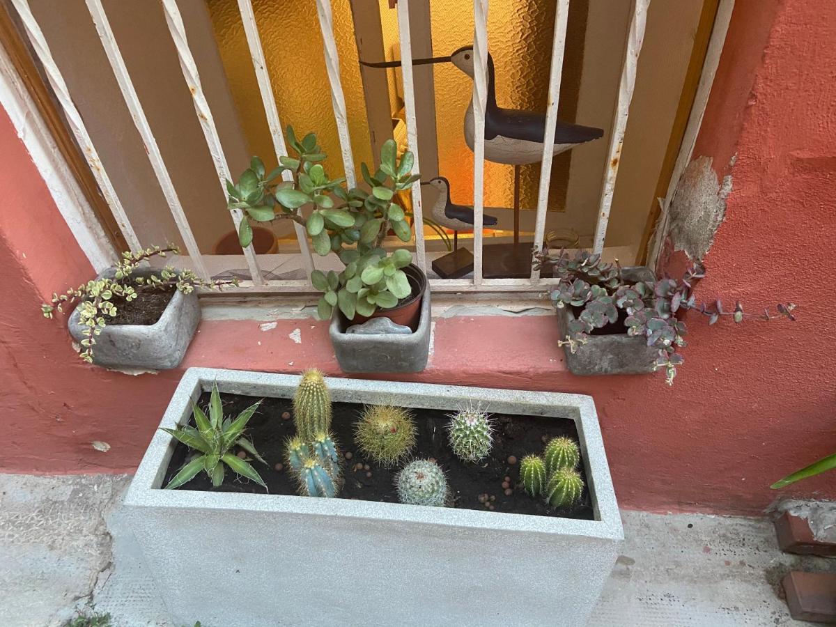 Joli Appart 29M2 En Vieille Ville Menton 2 Mins De La Mer Kültér fotó